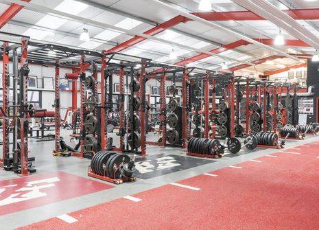 Photo of The Athlete Factory