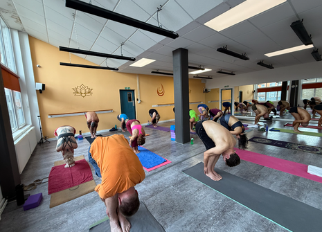 Photo of Dynamic Hot Yoga