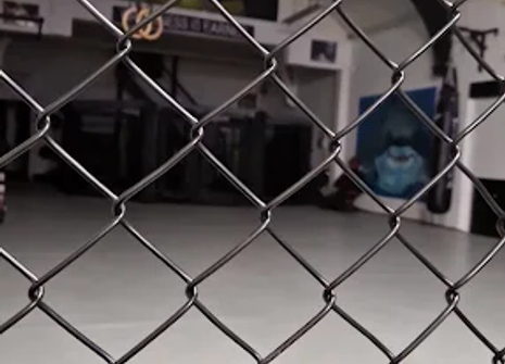 Photo of Ultimate Athlete MMA