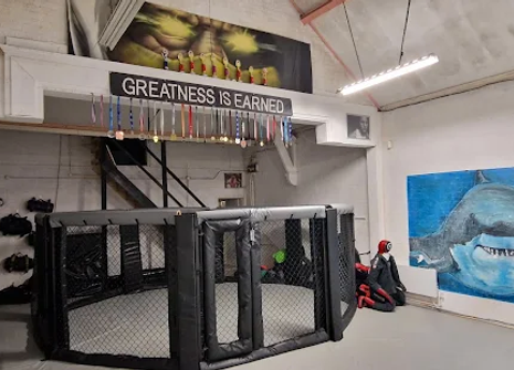 Photo of Ultimate Athlete MMA