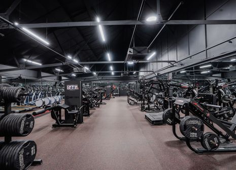 Photo of The Muscle Lab