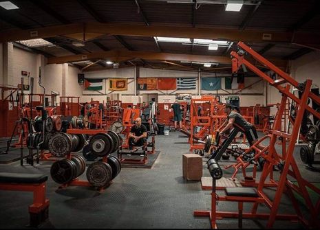 Weightlifting warehouse online