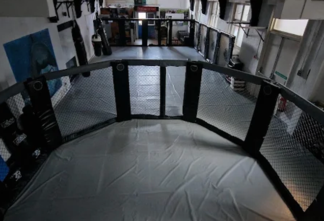 Photo of Ultimate Athlete MMA